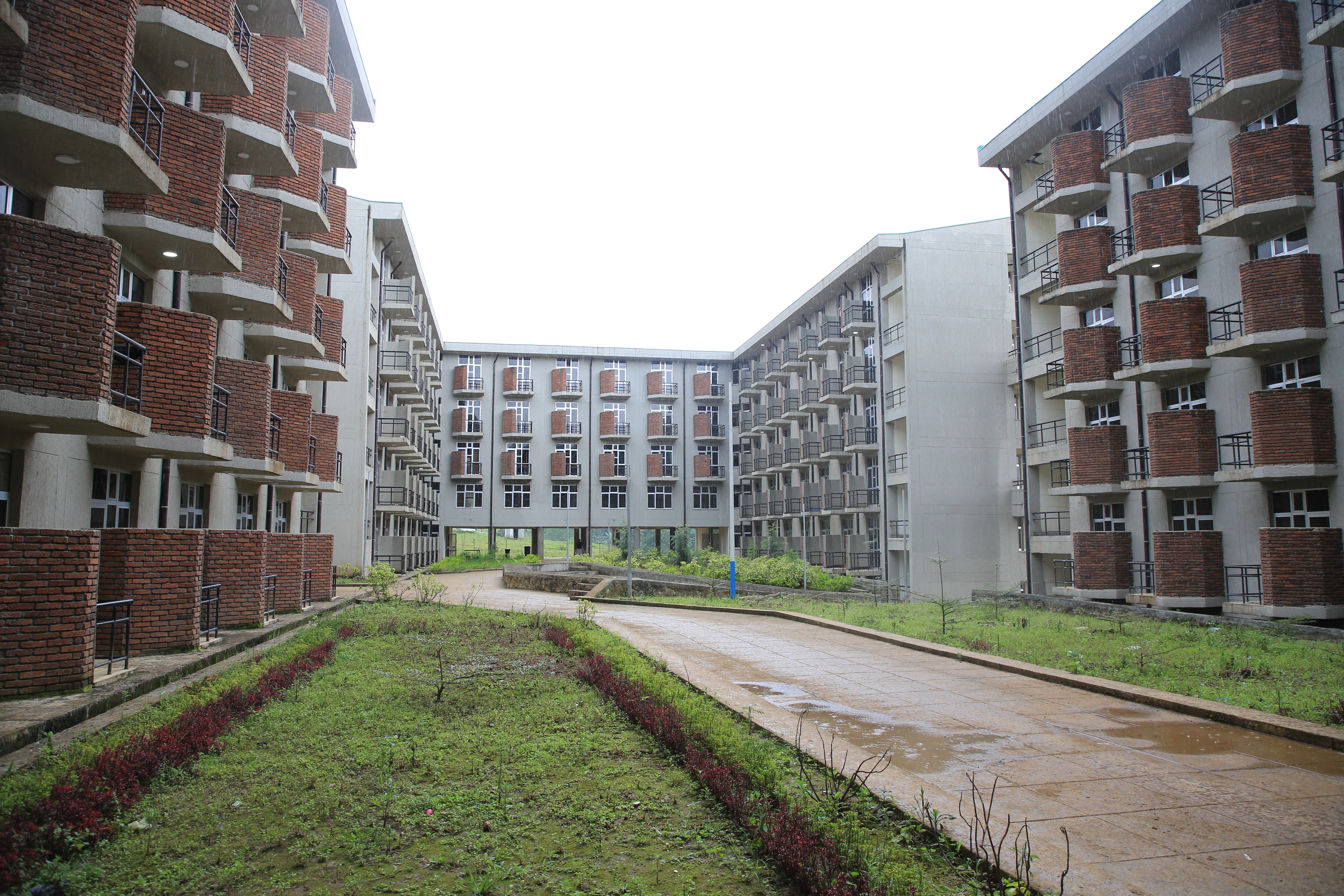 MTU research and innovation